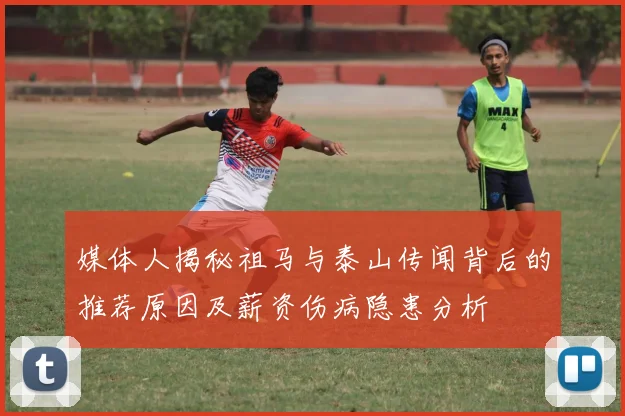 媒体人揭秘祖马与泰山传闻背后的推荐原因及薪资伤病隐患分析